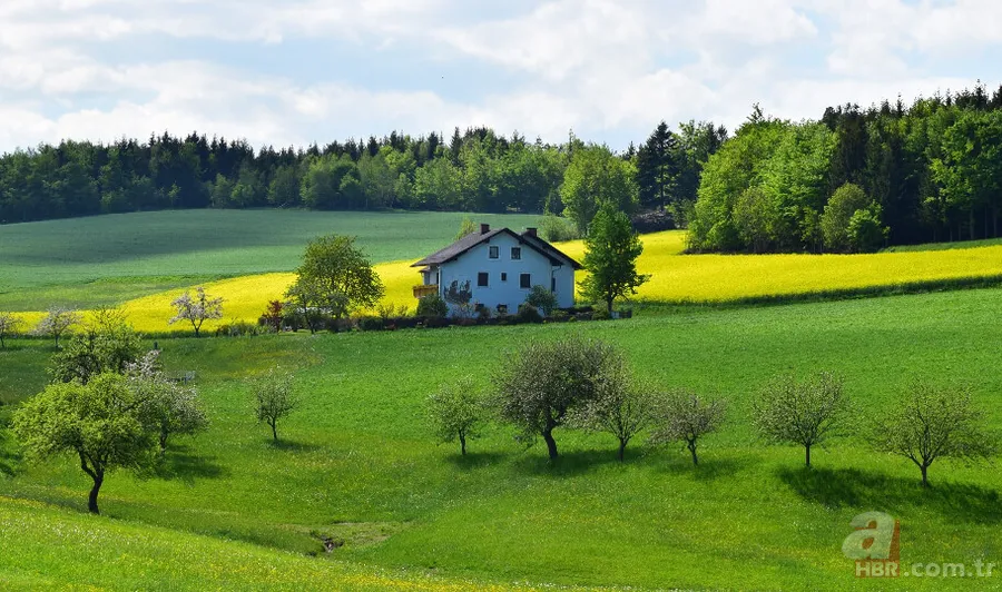 45.000 TL'ye Arsa Sahibi Olmak Mümkün! Onlarca İlde Vatandaşlar Sıraya Girdi 9