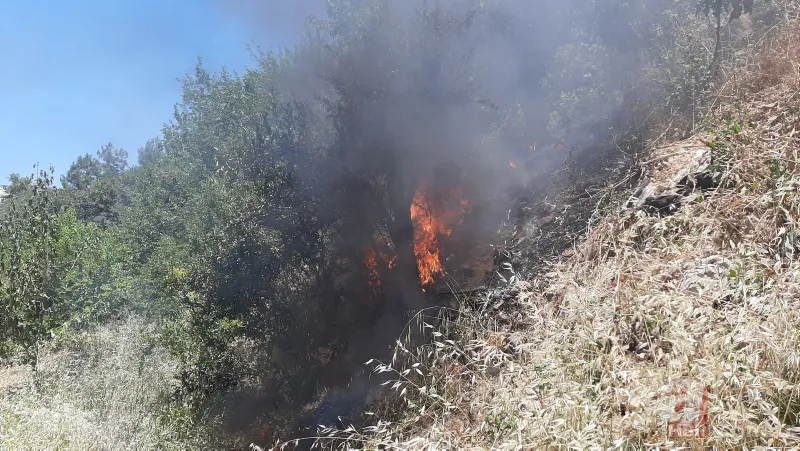 Sokakta korku dolu anlar! Yılan paniği ekipleri harekete geçirdi 7