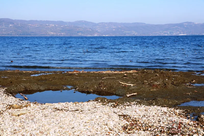 Sapanca Gölü'nde korkutan görüntü! Su seviyesi kritik noktaya doğru düşüyor 11