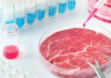 ABD’de Florida eyaleti yapay eti yasakladı! Alabama’da da yasaklanıyor