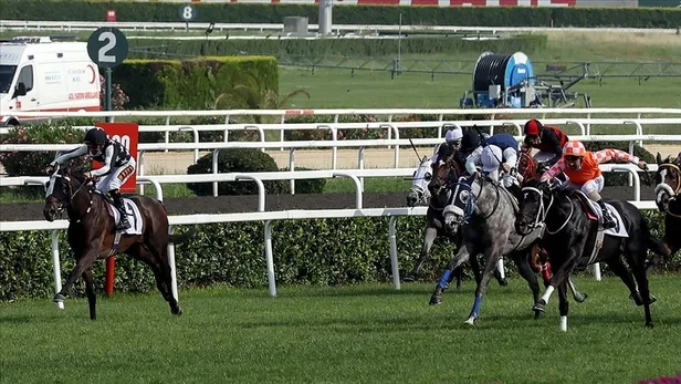 At yarışı sonuçları sorgulama 🏇 | Canlı TJK TV at yarışı sonuçları ve yarış programı | İstanbul, Bursa, İzmir, Kocaeli...