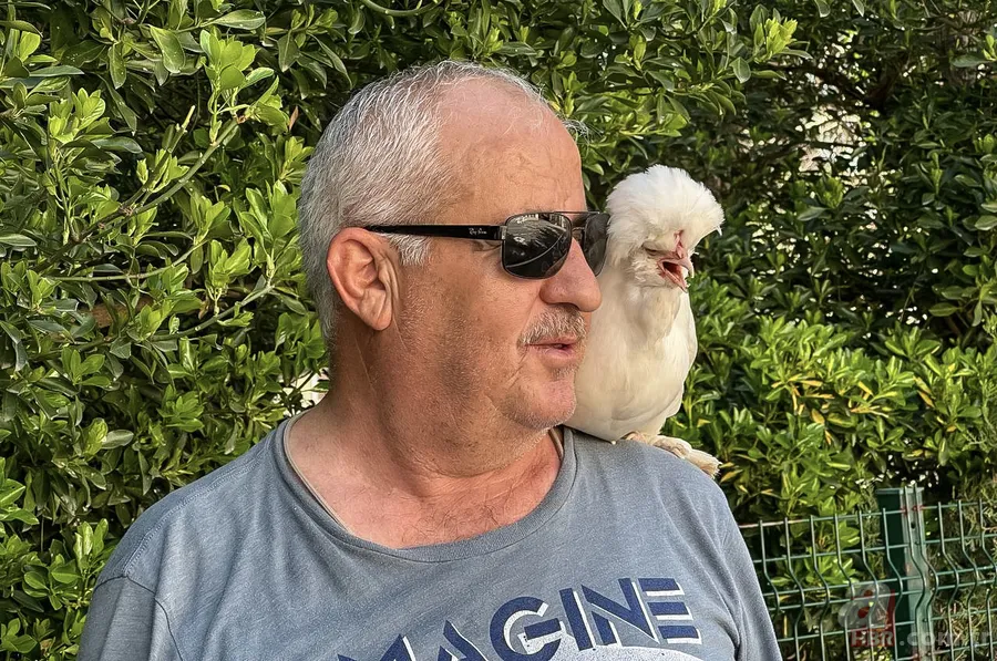 Oy vermeye gelen vatandaşlar şoke oldu! Alper Gezeravcı’dan esinlenip böyle sandığa geldi 20