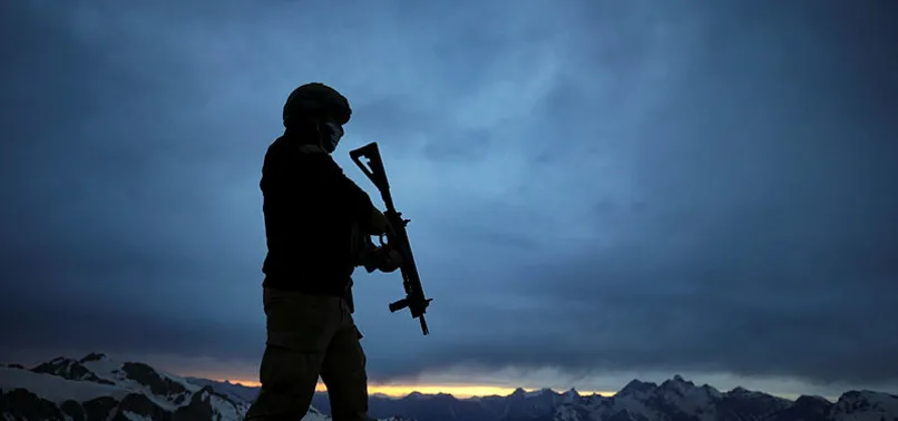 Siirt'te 2 terörist öldürüldü