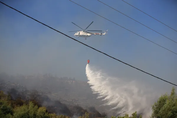 Tarım ve Orman Bakanı Bekir Pakdemirli’den CHP Genel Başkanı Kemal Kılıçdaroğlu’nun iddialarına cevap
