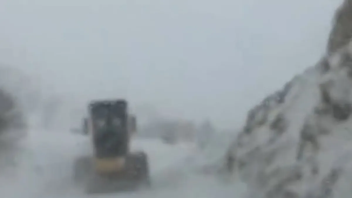 Artvin’de çığ düştü! Ardanuç Belediye Başkanı A Haber'de açıkladı: 3 çoban çığ altında