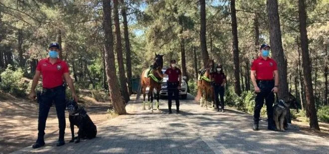 İstanbul’da orman yangınlarına karşı tedbirler arttı! Atlı ekiple denetim gerçekleştirildi