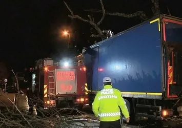 Üsküdar'da feci kaza! Kamyon ağaca çarptı!