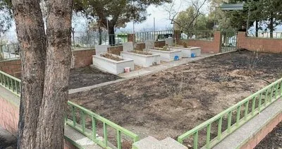Hatay'da hayrete düşüren manzara: Alevlerin arasında kalan şehitlik yangından etkilenmedi