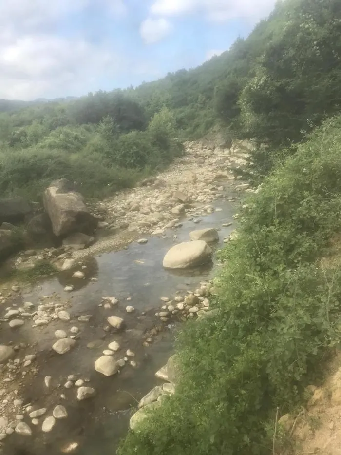 1719217854628.jpg 40 santimetrelik suda boğularak hayatını kaybetti! Eli taşa sıkışınca kurtulamadı... - 1