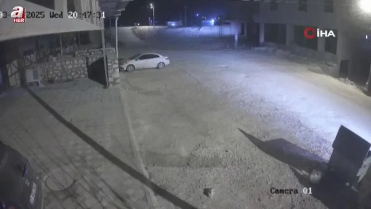 Aracına havlayan köpeği kurşun yağdırdı