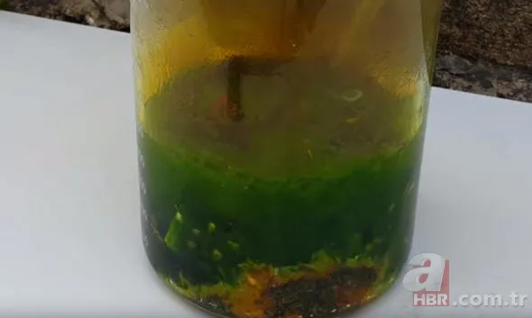 Bilgisayar parçalarından altın çıkardı! Görenler şaşkın... 22