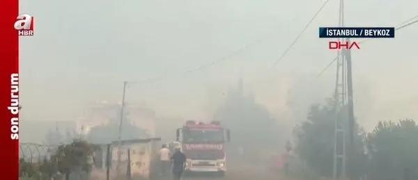 Son dakika: Beykoz'daki orman yangınıyla ilgili 1 kişi gözaltına alındı - 1