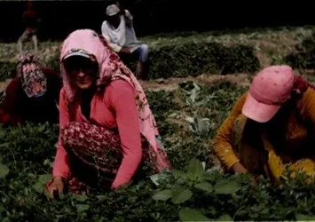 Korona diye hastaneye kaldırıldı iğrenç tecavüz olayı ortaya çıktı