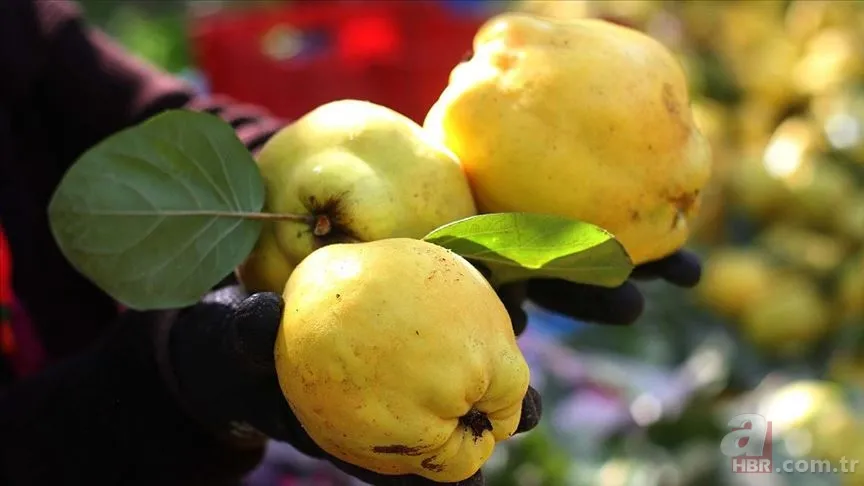 İştahı bıçak gibi kesen en etkili besin! Sahurdan iftara kadar tok tutuyor... 4