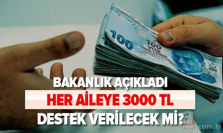 Her aileye 3000 TL destek verilecek mi? Sağlık Bakanlığı'ndan son dakika pandemi desteği açıklaması 1