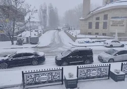 Van'da 93 yerleşim yerinin yolu kapandı