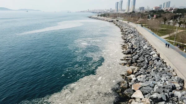 1615902610695.jpg Marmara Denizi'ndeki korkunç manzaranın nedeni belli oldu - 6