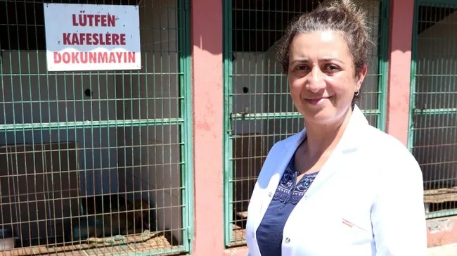 Sakarya'da köpeğin vücuduna jiletle "it" yazdılar - 3