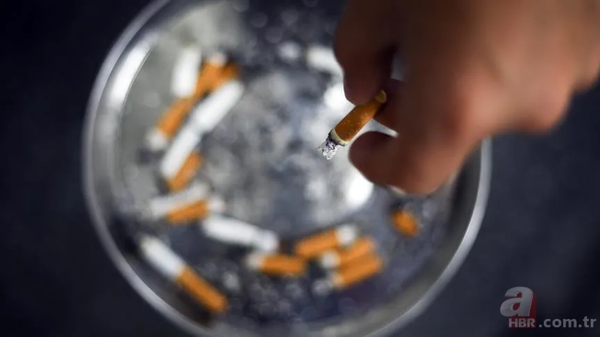 Sigara fiyatları zamlı güncel liste: 18 Mayıs sigaraya zam geldi mi? Tekel, Marlboro, Kent, Camel, Winston sigara fiyatı ne kadar? 4