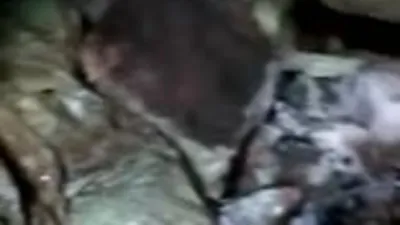 Eren Kış-24 operasyonu başladı