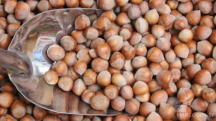 Fındık fiyatları son dakika: 7 Aralık Ordu, Giresun, Samsun, Trabzon güncel fındık alış-satış fiyatları ne kadar? 3