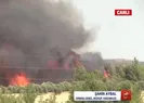 5 ilde 10 noktada yangın! Son durumu A Haber’de anlattı