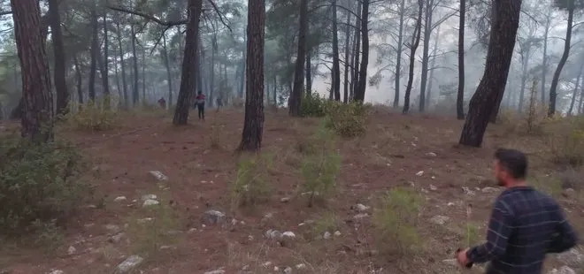 Antalya’da orman yangını: Kısa sürede kontrol altına alındı