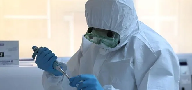 Son dakika: ABD’li uzmanlar duyurdu: Mutasyona uğrayan koronavirüs zayıflıyor olabilir