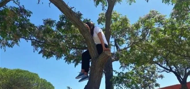 Kediyi kurtarmak için ağaca çıkan lise öğrencisi ağaçta mahsur kaldı