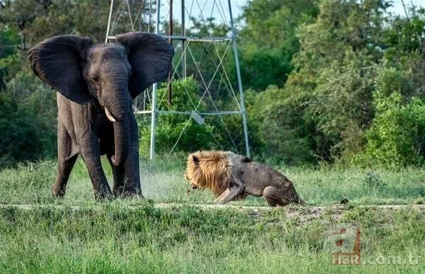 Bilim insanları geliştirdi! Artık uzaydan sayılabilecekler