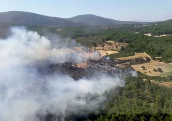 Son dakika: İzmir'de orman yangını