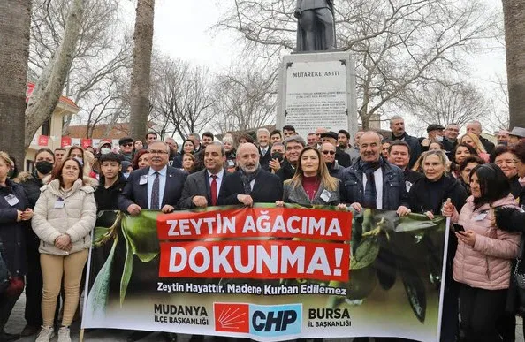 CHP’li başkan zeytinlikleri katletti! Hem talan hem de şov yapıyor