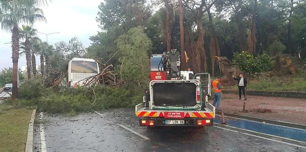 1700908321450.jpeg Servis otobüsü üzerine ağaç devrildi: 7 yaralı - 1