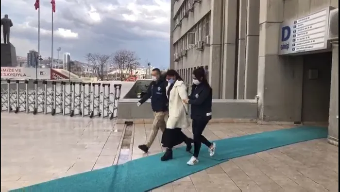 Türkiye'yi ayağa kaldırmıştı! Gebe kediye saldıran kadının cezası belli oldu - 2