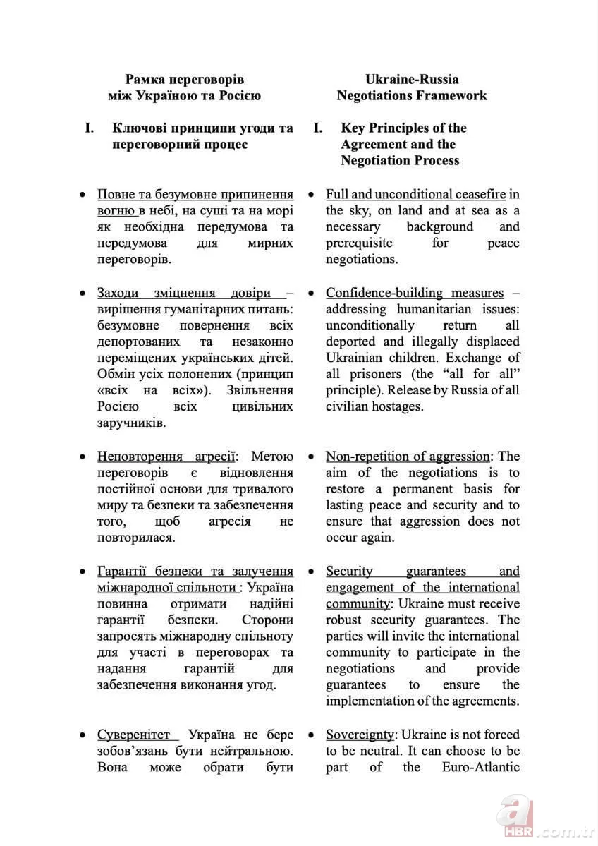 Ukrayna'dan barış için yol haritası! İstanbul'da ateşkes teklifi sunuldu: Kiev ne istiyor? İşte tam metni... 3