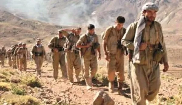 Son dakika: Terör örgütü PKK'da panik büyüyor! Teröristler 'firar hakkı' istemiş - 5