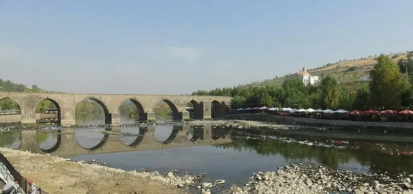 Barajdan gelen suyun kesilmesiyle Dicle Nehri kenarında binlerce balık telef oldu