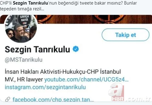 Sezgin Tanrıkulu porno videosunu beğendi! Sosyal medya yıkıldı... 18