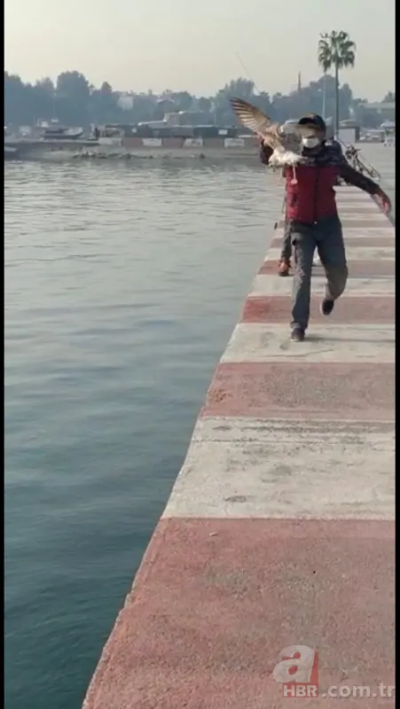 Oltasına takıldı! Neye uğradığını şaşırdı 6