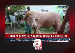 TRUMP'A BENZEYEN "MANDA"