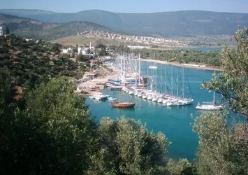 Tapu memurunun dikkati 100 milyonluk vurgunu önledi: Suçüstü yakalandılar