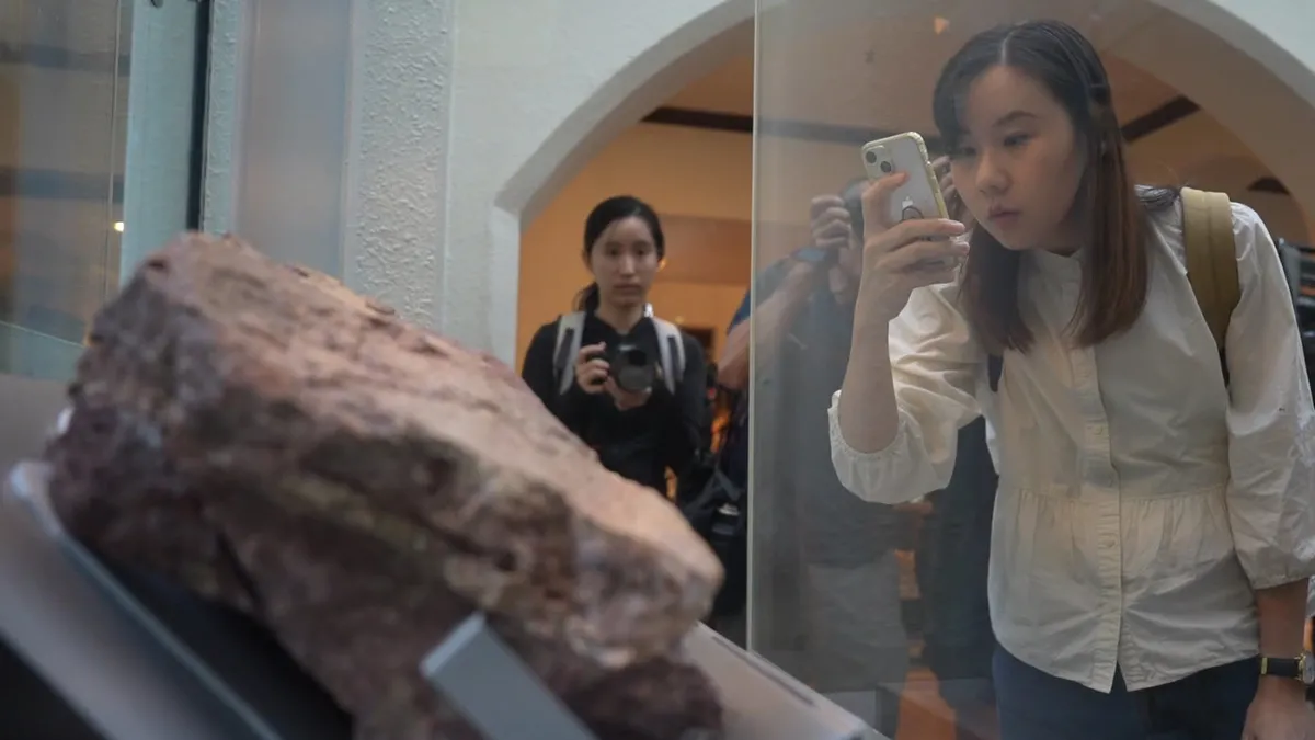 Milyonlarca yıl önce yaşamış! O bölgede ilk kez dinozor fosili keşfedildi