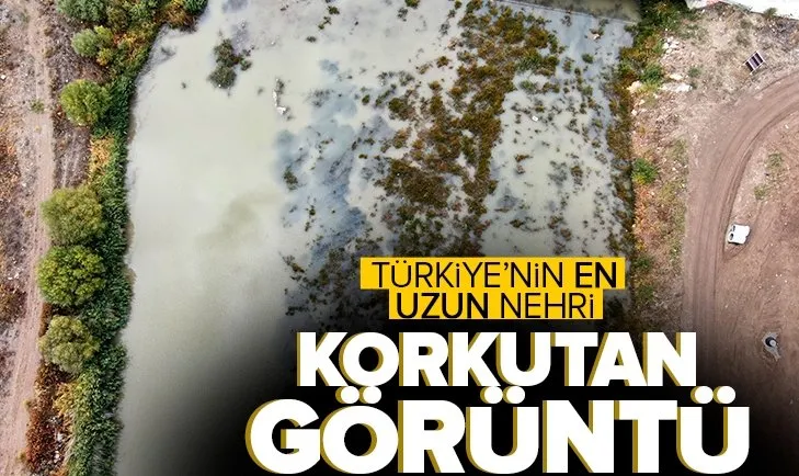 Kızılırmak’tan korkutan görüntü! Otlağa dönüştü