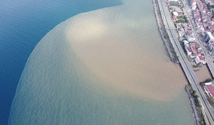 Karadeniz’de endişelendiren görüntüler! Rengi değişti gören dönüp bir kez daha baktı
