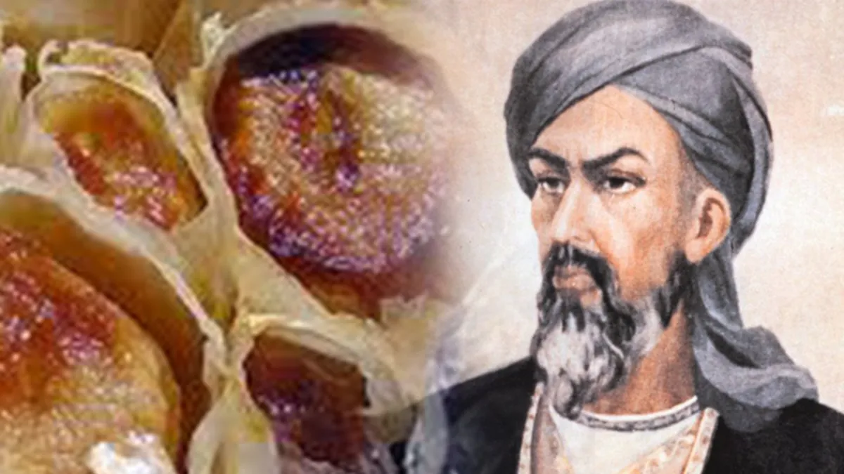 İbn-i Sina 1000 yıl önce önerdi: Sarımsağı böyle tüketmek ömrü uzatıyor...