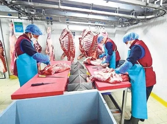 Büyük batık İzmir! Tunç Soyer güzel şehri iflasın eşiğine getirdi! Sayıştay raporlarına yansıyan acı gerçekler