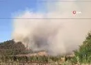 Tarihi İpek Yolu yanıyor