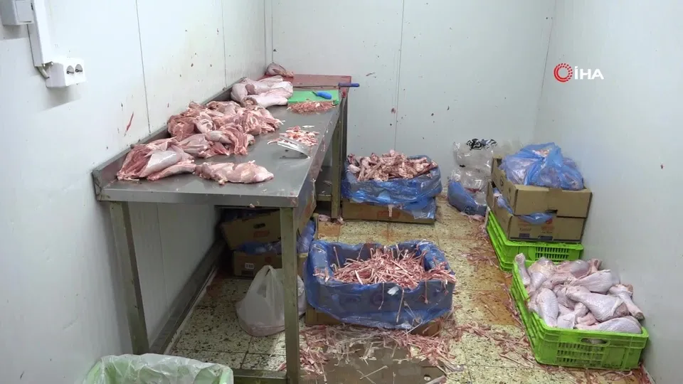 Döner baskınında mide bulandıran manzara