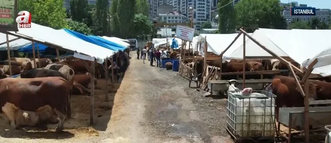 guvenli-kurban-satisi-sahte-paraya-karsi-makinali-onlem-1749115566488.jpg Ekran görüntüsü / A Haber