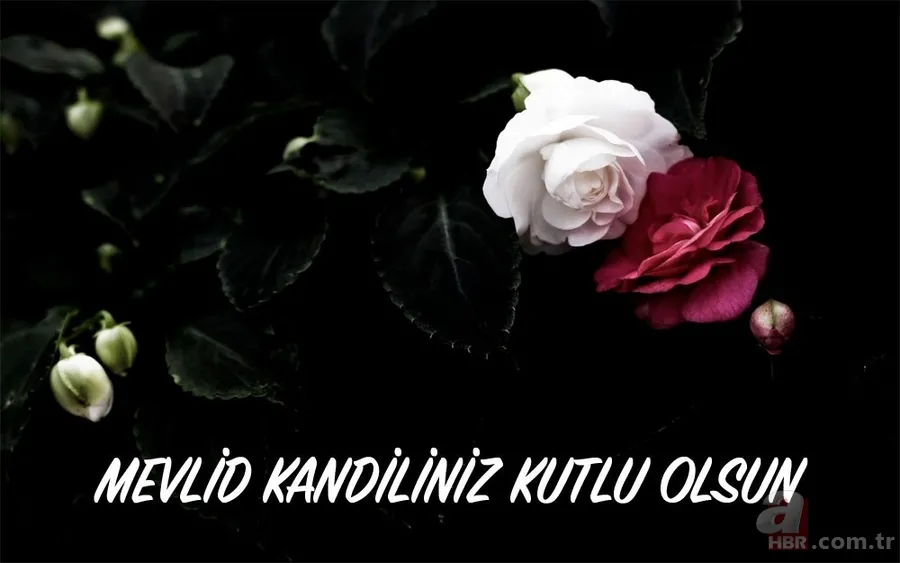 Mevlid Kandili'nde sevdiklerinize yollanacak en güzel mesajlar! Kısa ve uzun en güzel resimli Mevlid Kandili mesajları 16